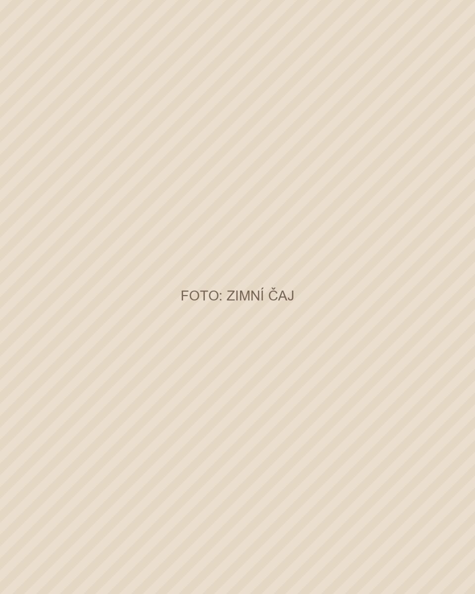 Zimní čaj